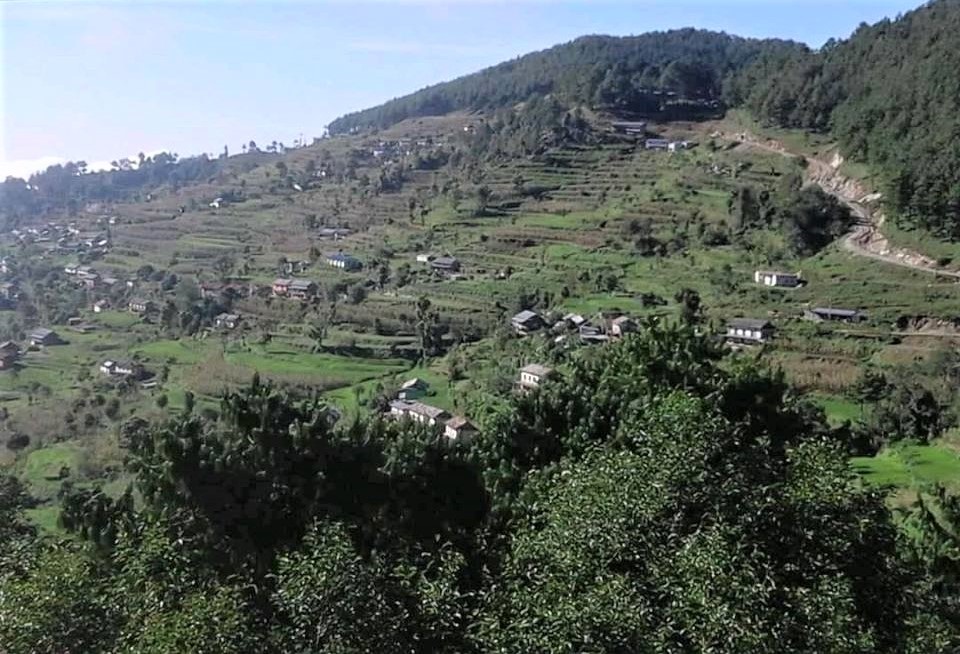 Doramba -21692262401.jpg